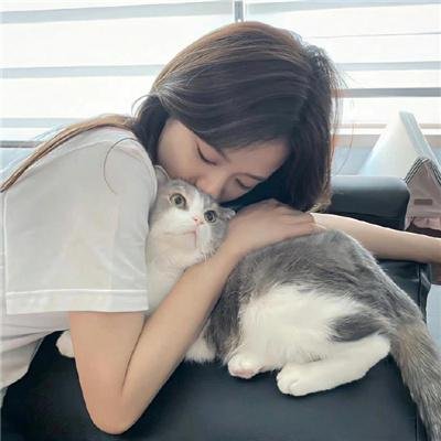 探查医秘