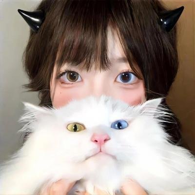 嘿，蠢贼